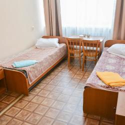 Номер эконом с 2 односпальными кроватями