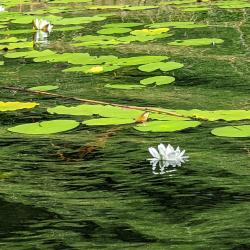Фото Дизайн-отель Seliger Club (Селигер Клуб)