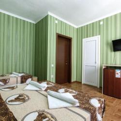 Комната стандарт с 1 односпальной и 1 двуспальной кроватью
