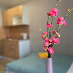 Апартаменты студия