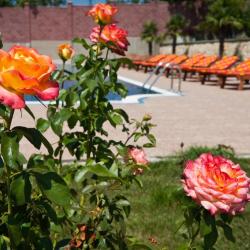 Фото Отель Ривьера