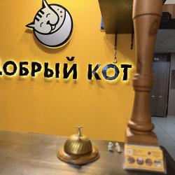 Добрый кот — 9af4a09cd4ddf49f771a7ae86ee7954a