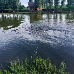 Фото Отель Любимая Усадьба