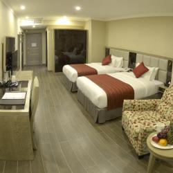 Фото Отель Ramada by Wyndham Bishkek Centre (Рамада Виндхэм )
