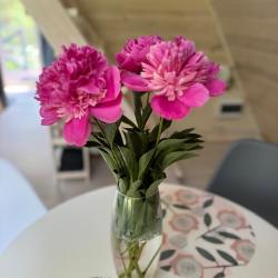 Фото Отель Просторы Уткино