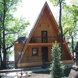 Фото Отель Лесная Сказка