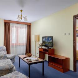 2-комнатный номер люкс с 1 двуспальной кроватью