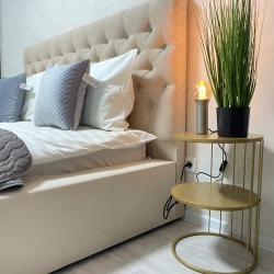 Фото Апартаменты Housevip на улице Рогожникова 19/3