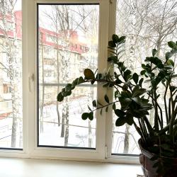 Фото Отель Йошкина Кошка на улице Рябинина