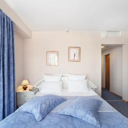 Номер полулюкс с 1 двуспальной кроватью