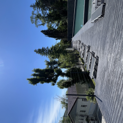 Фото Стильные апартаменты в 10-и минутах от моря