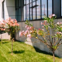 Фото Апартаменты на улице Ясногорская 16/6 к3