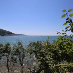 Фото Отель Скала