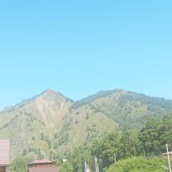 Фото Отель Индиго