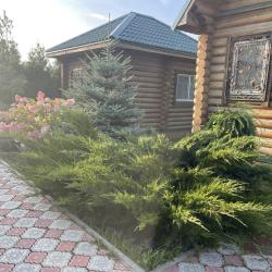 Фото Отель Лукоморье