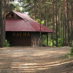 фото 11 База отдыха Русская Усадьба