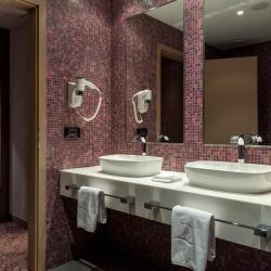 Domina Hotel Novosibirsk (Домина Новосибирск) — 9ba91a2797896820681ee74793a91df4