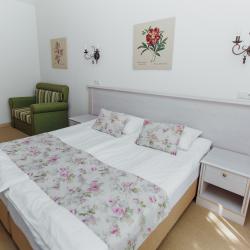 2-местный номер стандарт улучшенный (корпус Прованс, мансарда)