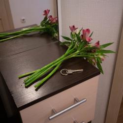 Фото Апартаменты на улице Венская 4 корпус 2