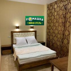 Фото Отель Ромашка