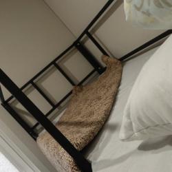 Фото 13/15 Хостел