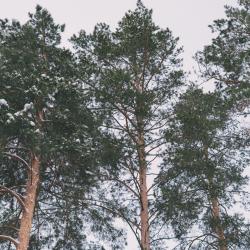 Фото Отель Слобода
