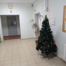 Фото Отель Надежда