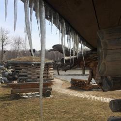 Фото Отель Медвежий Угол
