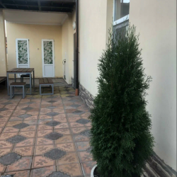 Фото Отель Олива