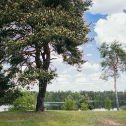 Фото Отель Звездное небо