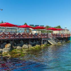 Фото Отель Капитан