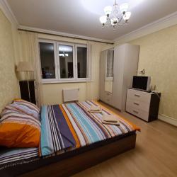 Фото Апартаменты на Московском шоссе 33к3