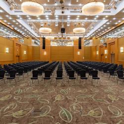 фото 64 Holiday Inn Moscow Sokolniki (Холидей Инн Москва Сокольники)