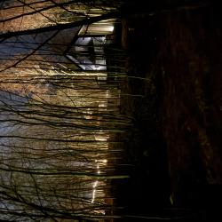 Фото Отель Звен Дзен