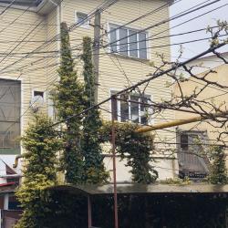 Фото Отель Гостевой дом Кармен