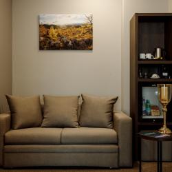 Baikal Forest Hotel (Байкал Форест) — 9bf959430d0475bf6f956f880439c198