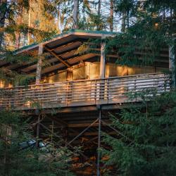 Дачи (первая линия)