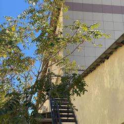 Фото Отель All Seasons (Олл Сизонз)