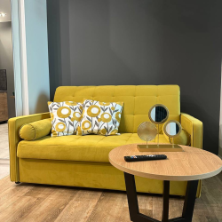 Фото Отель Sky INN Color Apartments (Скай Инн Колор Апартмэнтс) Сколково