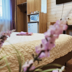 Фото Отель Лотос