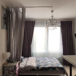Фото Отель White rabbit apartments на улице Зеленый остров