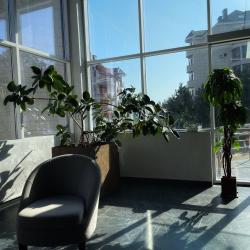 Апартаменты студия