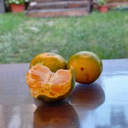 Фото Отель Марион