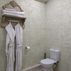 Джуниор Сюит (с террасой)