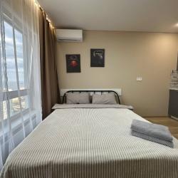 Апартаменты студия г. Владивосток, ул. Архангельская 23, корпус 1, этаж 16