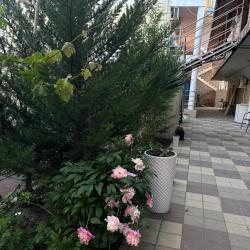 Фото Отель Гармония