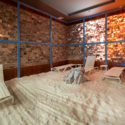 Фото Отель Wellness Hotel and Spa (Велнесс)