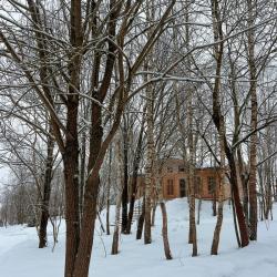 Вилла премиум (Усадьба (Sky house, Wood house))