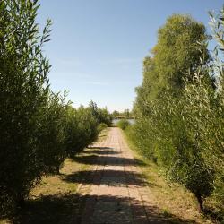 Фото Отель Санаторий Евромед