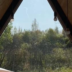 Афрейм Лес